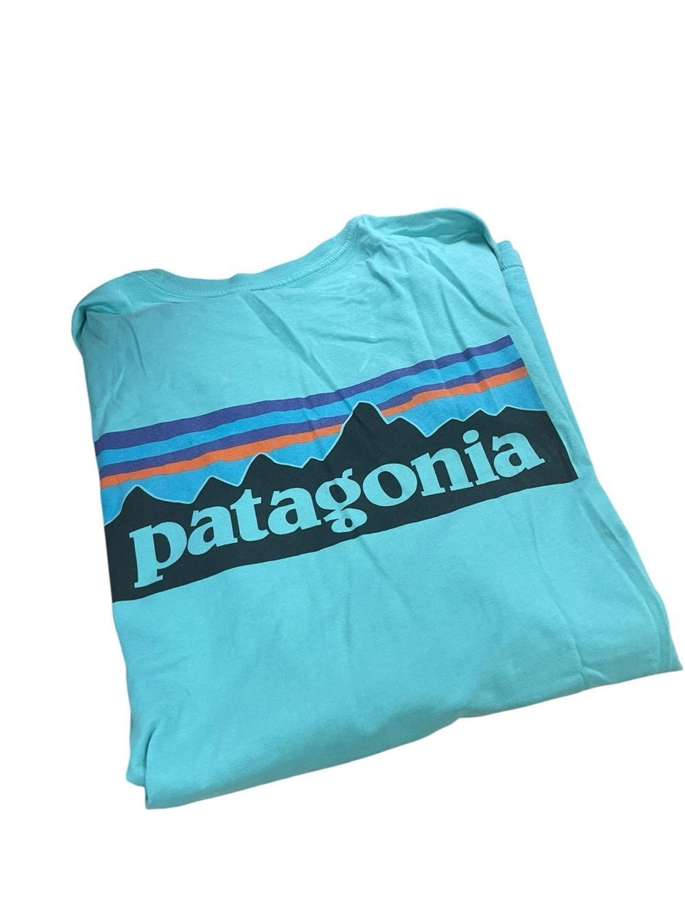 Patagonia Turquoise Logo Tee with Blue and Orange Stripes like new sz L 😊